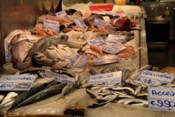 mercato ittico più grande d'italia, car
