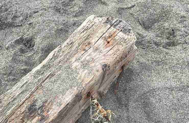 Pezzo di legno chiodato all'ex Faber Beach di Ostia
