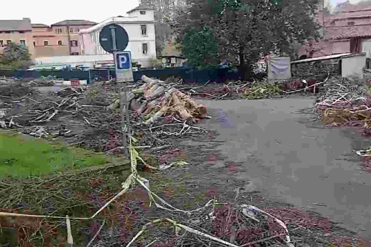 Rami accatastati al Servizio Giardino di Porta Metronia