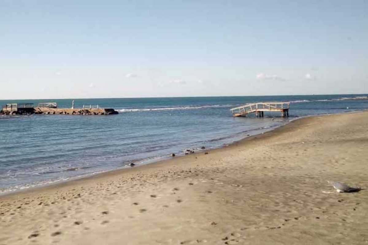 Spiaggia libera di Ostia Ponente