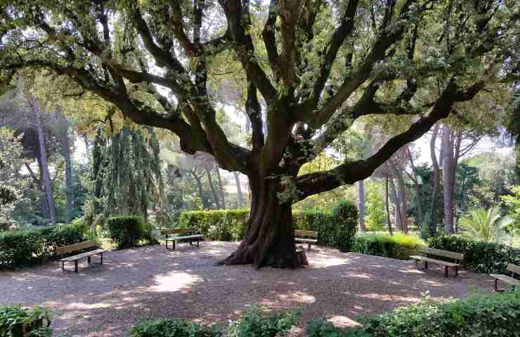 Villa Doria ad Albano Laziale