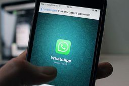 Whatsapp logo come leggere un messaggio di nascosto