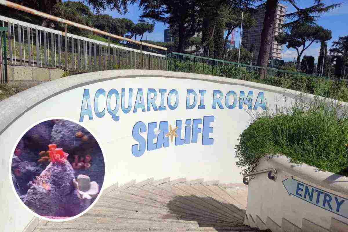 Ingresso dell'Acquario di Roma