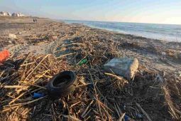 Degrado sulle spiagge del litorale