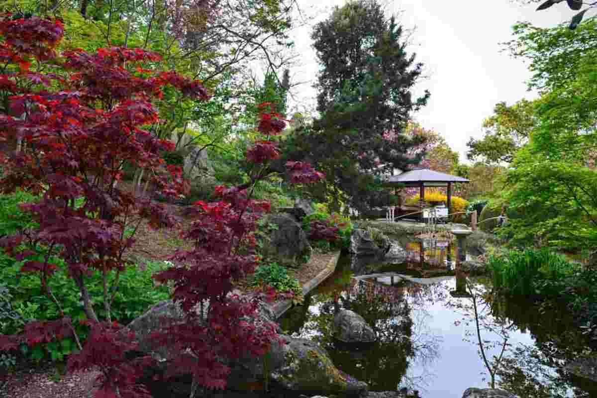 Orto Botanico di Roma