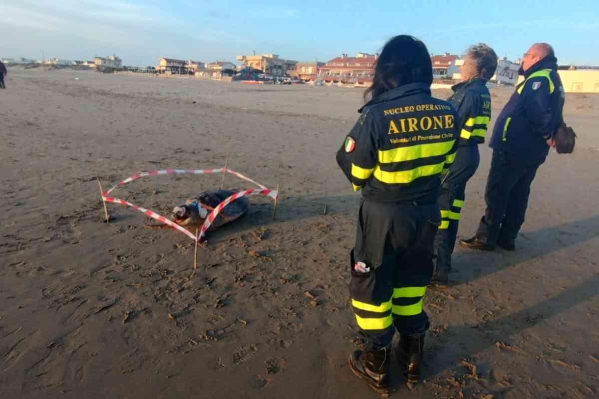 Protezione civile con tartaruga gigante