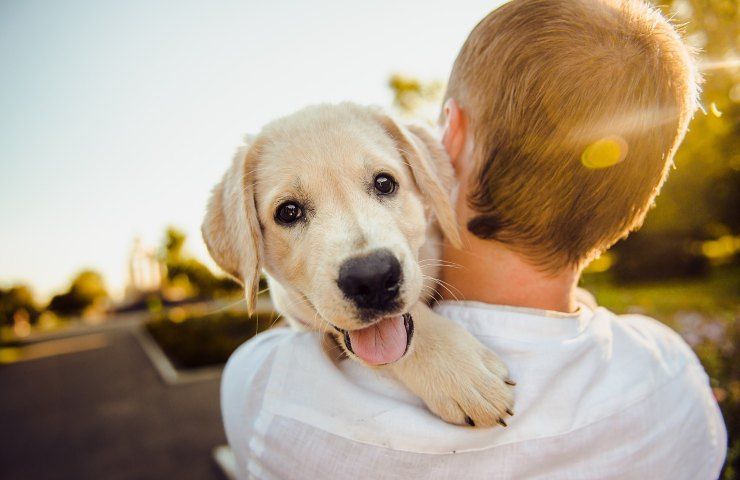 Cane e padrone bonus animali domestici