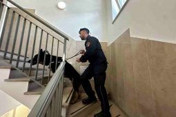 cani antidroga carabinieri