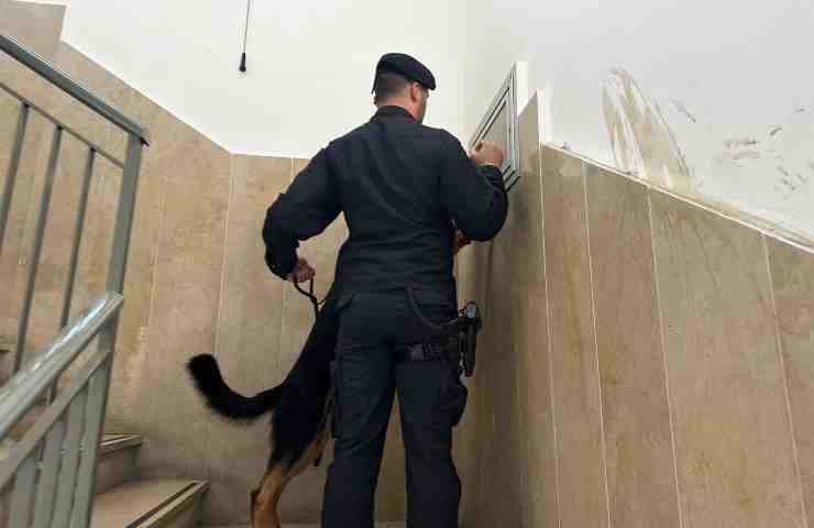 carabinieri, cani antidroga