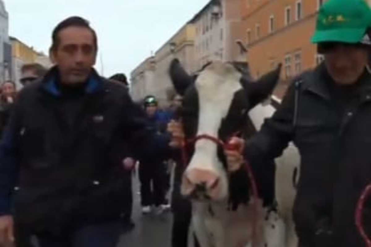 Ercolina con gli agricoltori a San Pietro