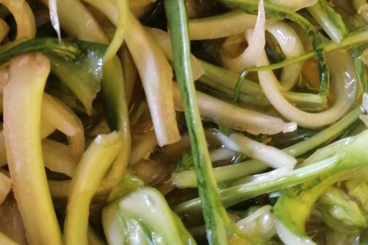 Puntarelle