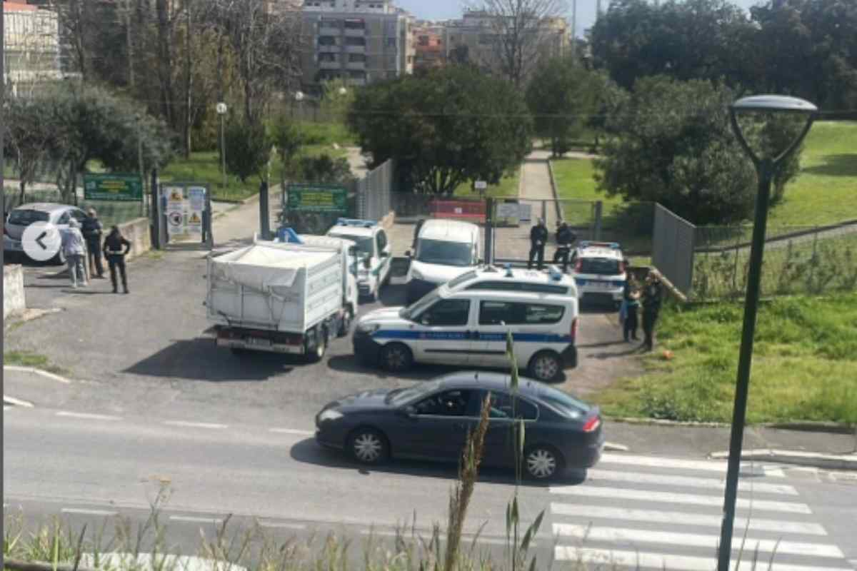 Cighiali uccisi nel parco a Roma