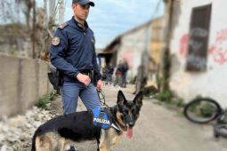 Polizia cinofila al Pigneto