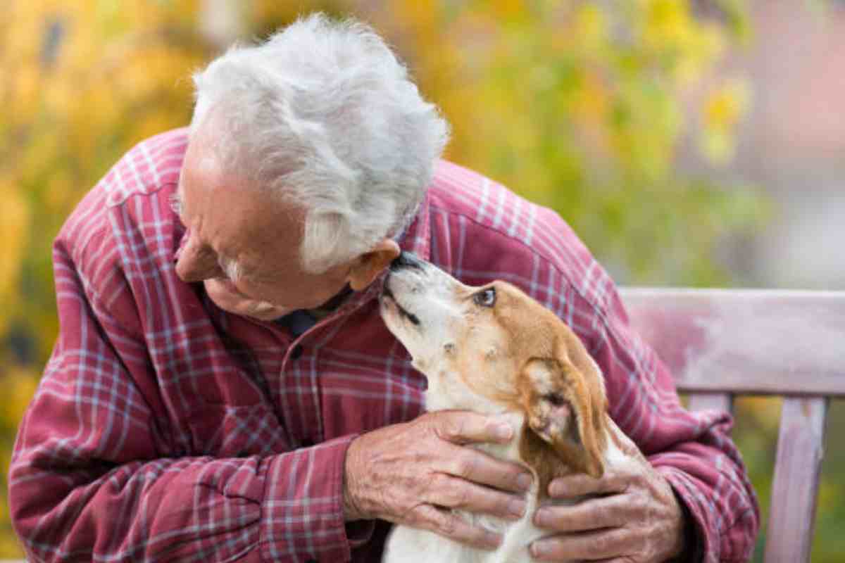 Bonus animali domestici