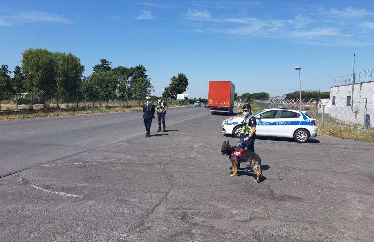 Polizia Locale Ciampino