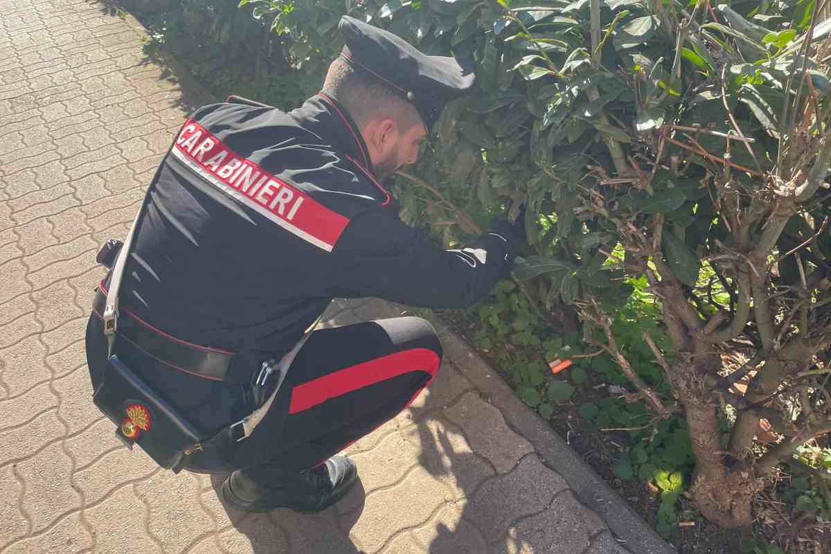 Carabinieri trovano nascondiglio droga al Quarticciolo