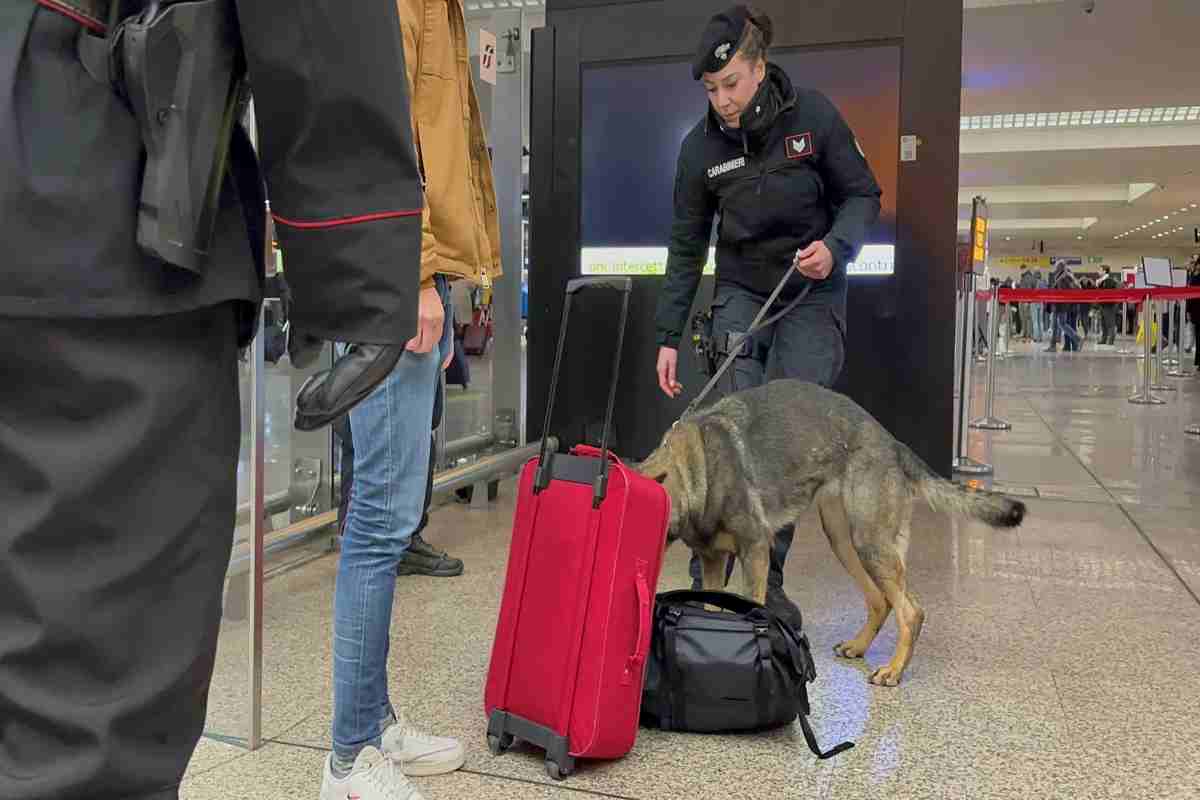 carabinieri Termini