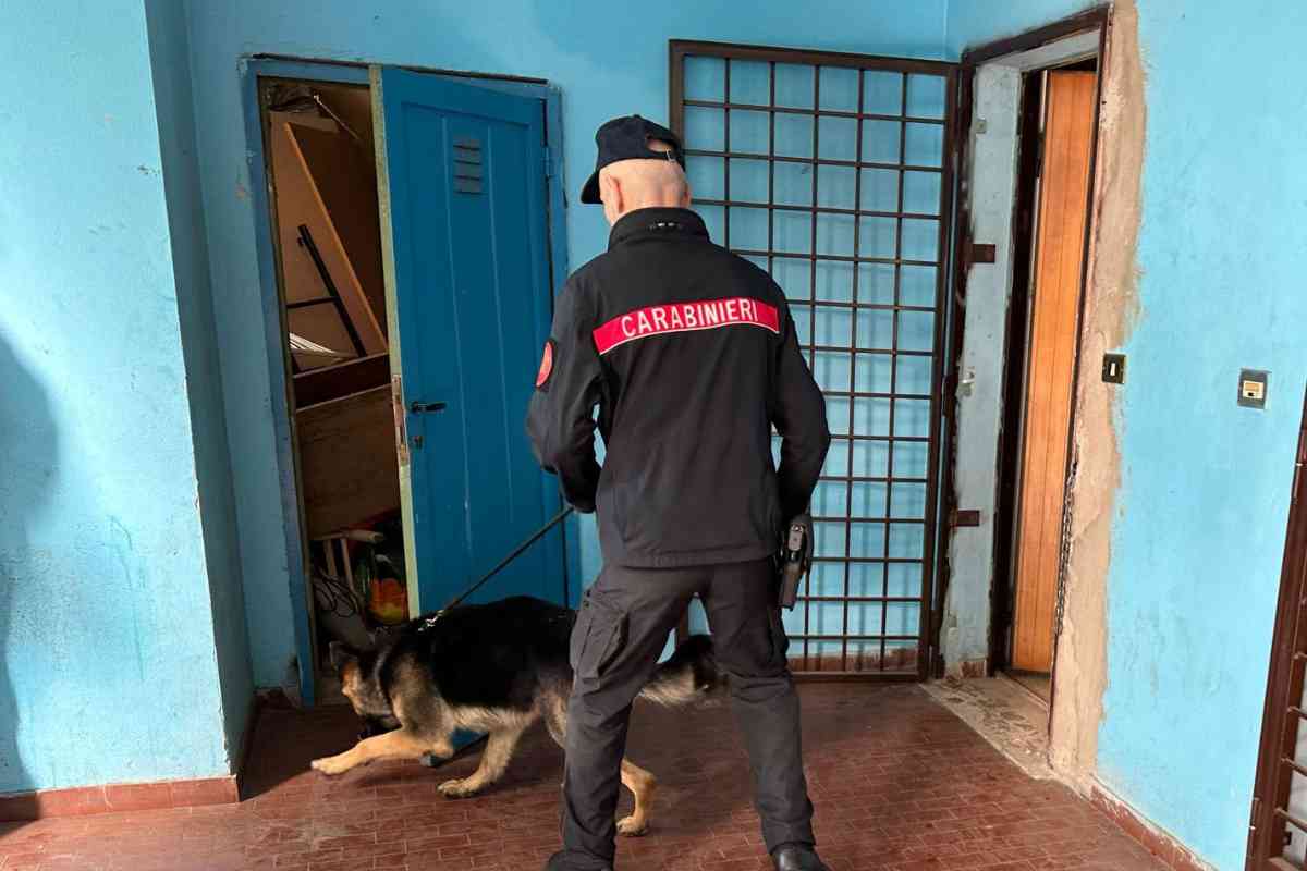 Carabiniere con il cane a Ponte di Nona