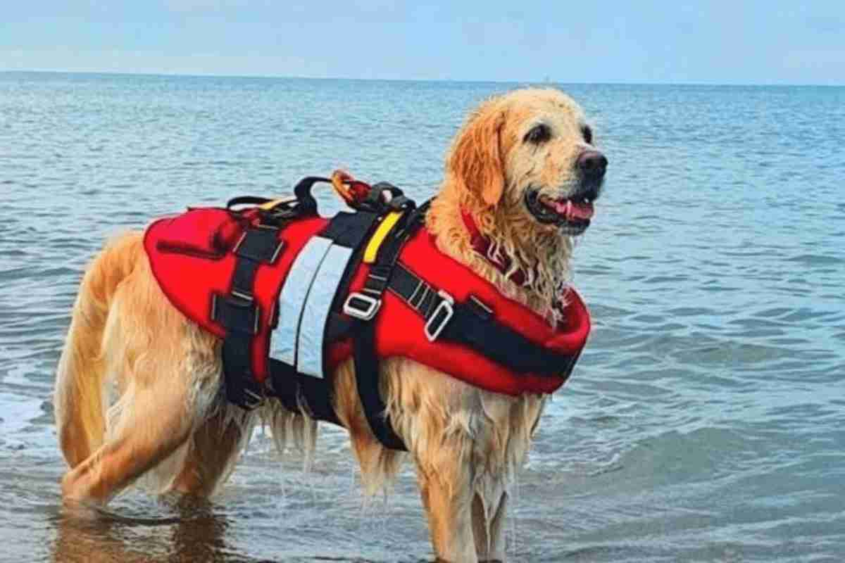 Foto di Mira dopo un salvataggio in mare