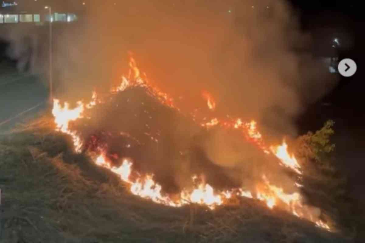 Incendio nella notte a Roma, fiamme davanti allo Stadio Olimpico: alta colonna di fumo | Le immagini