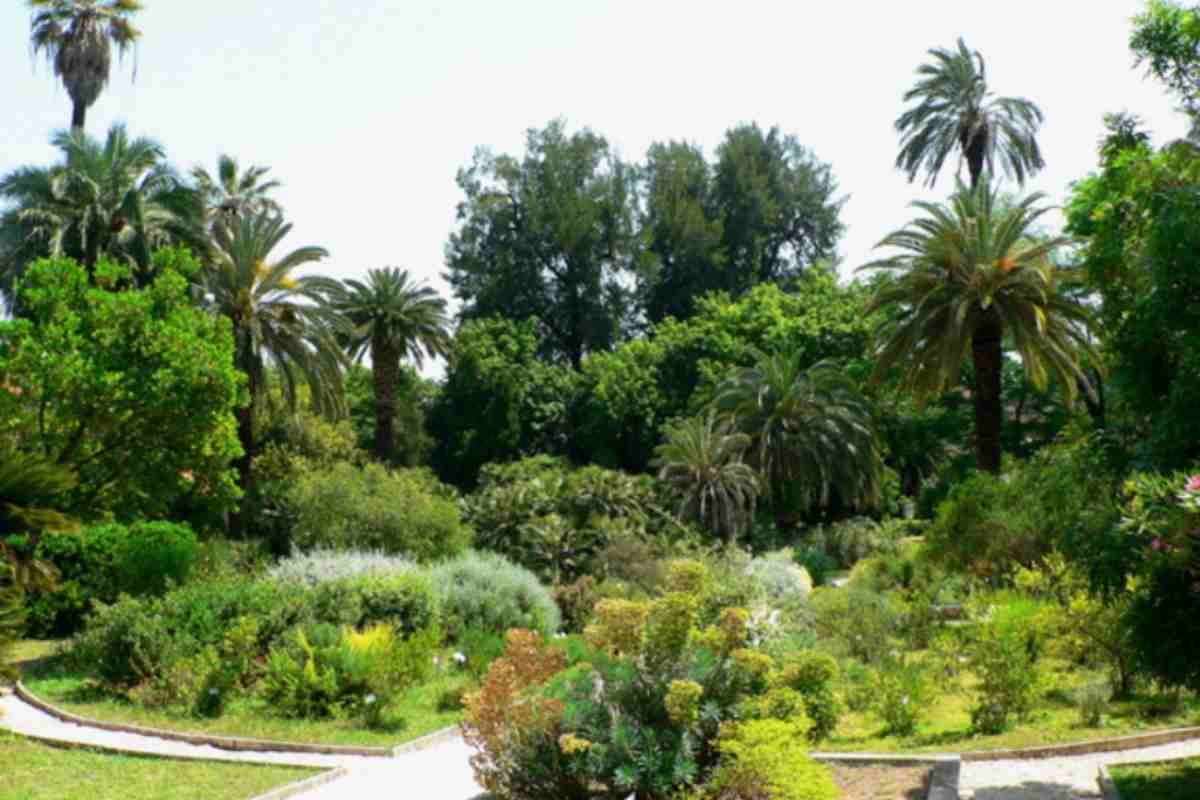 Orto Botanico di Roma - Laghetto