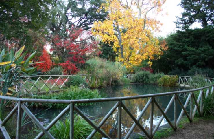 Orto Botanico di Roma - Laghetto