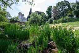 Orto botanico di Roma Capitale