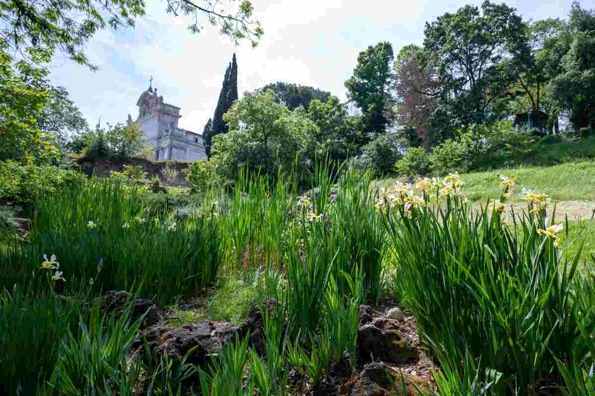 Oasi incastonata tra le mura della città, il posto perfetto per rilassarsi e respirare aria pulita: dove ci troviamo