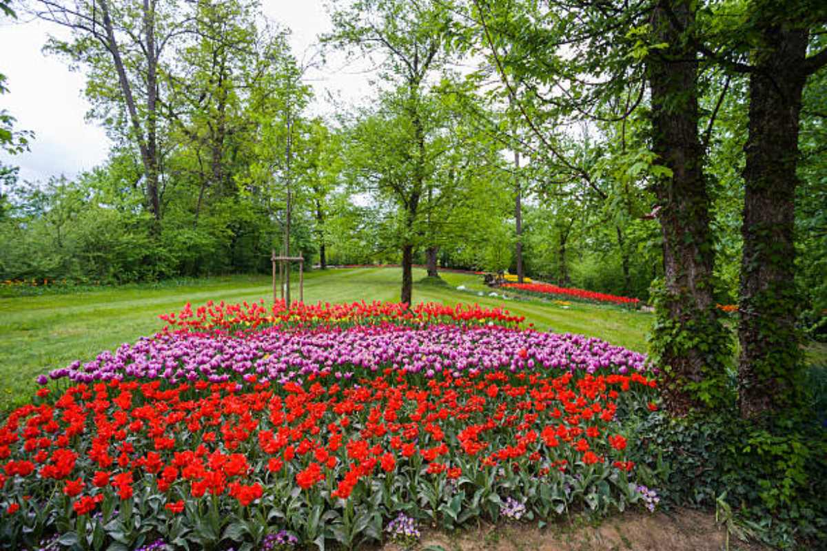 Parco del Castello di Pralormo