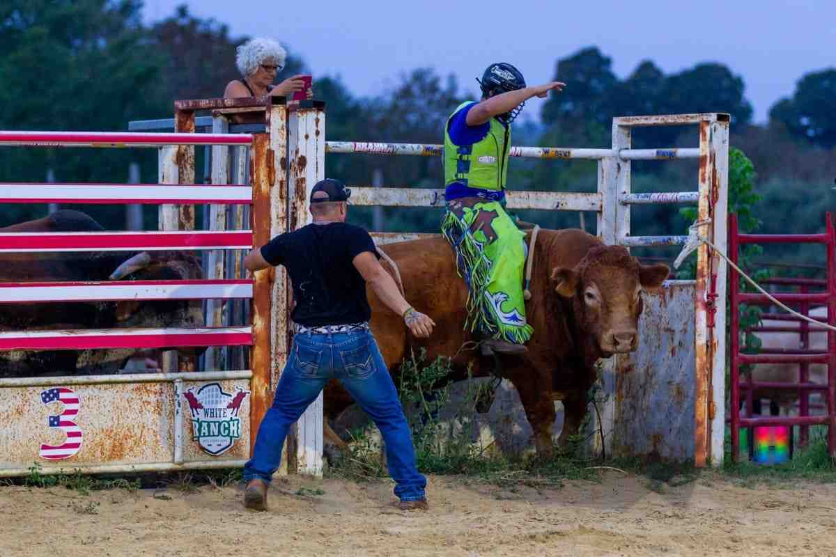 Scena di un rodeo