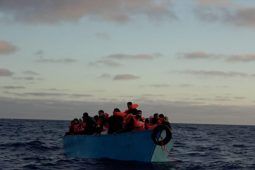migranti
