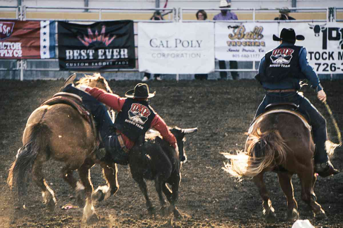 rodeo a Fiera di Roma