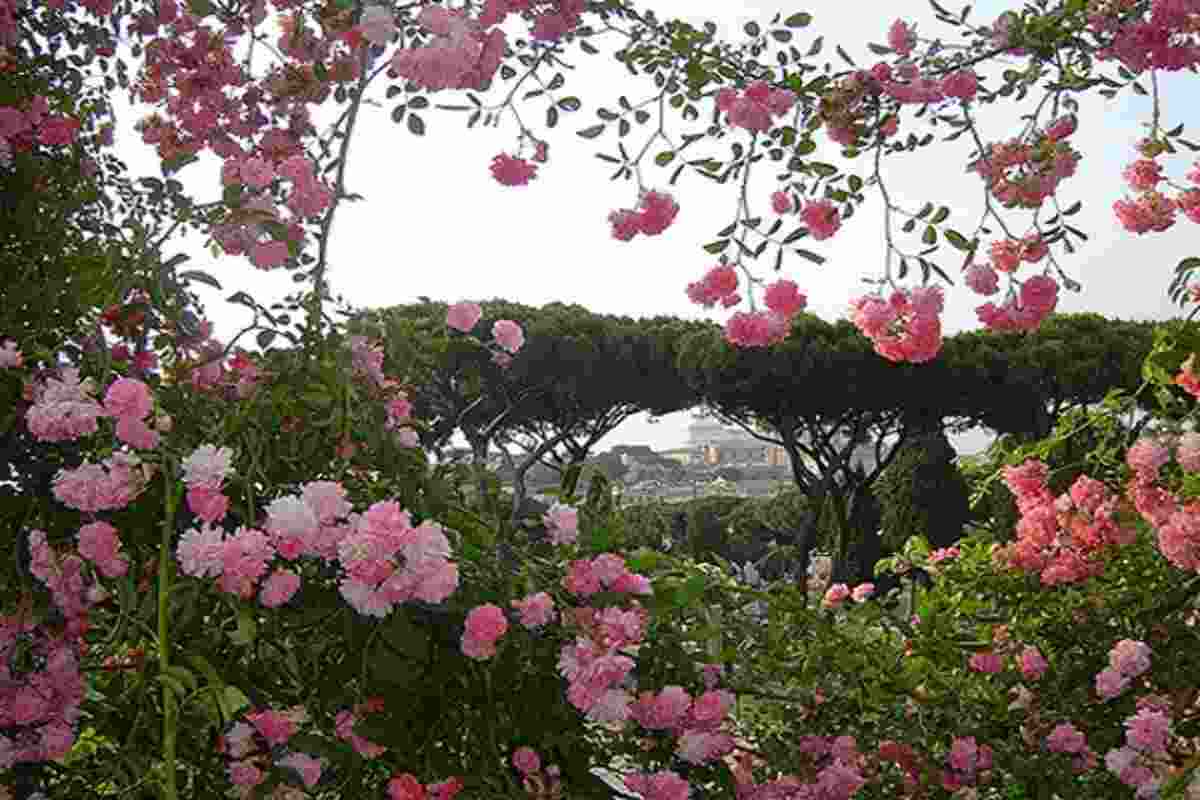 Roseto comunale di Roma