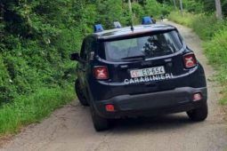 Carabinieri per infortunio lavoro campo di mele