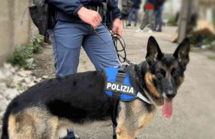 Unità cinofila Polizia