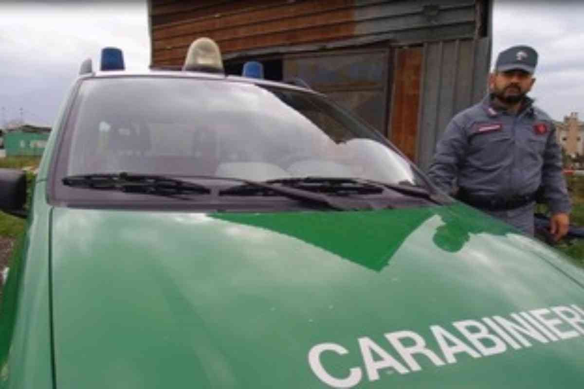 Carabinieri della Forestale