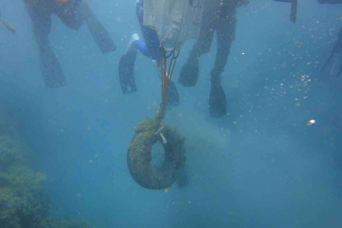 Pulizia del fondale marino