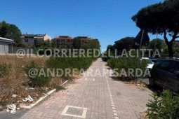 Area degradati su Viale Vasco De Gama