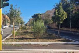 Siepe di via Carlo Tommaso Odescalchi dopo la pulizia